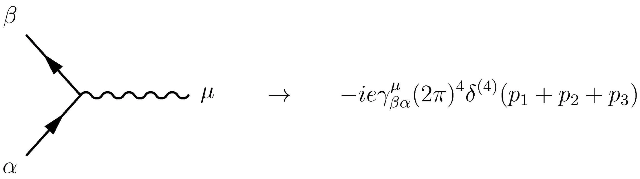 Feynman Diagrams | Quantum Electrodynamics